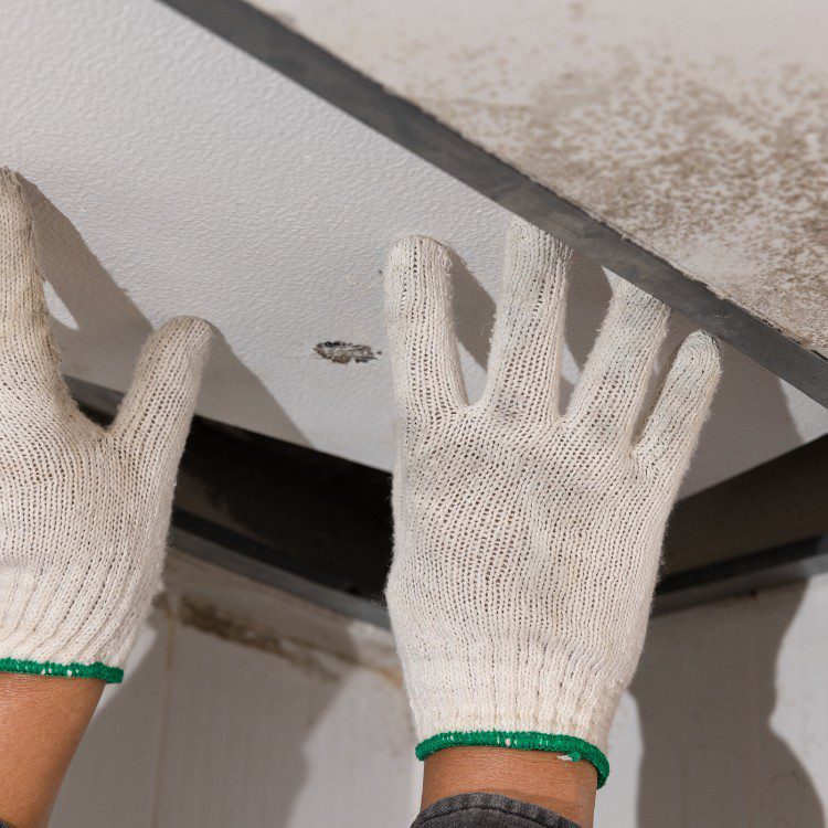 Leak Detection services in Houston, TX Leak Detection services in Houston, TX
